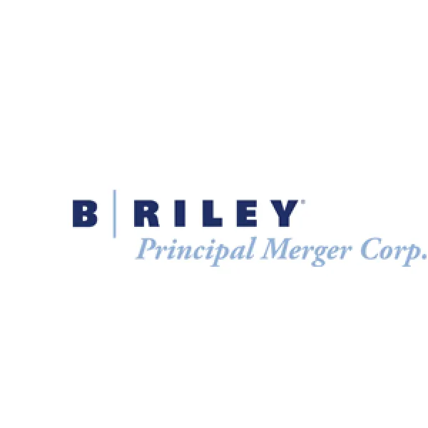 B. Riley Financial | Diversified Financial Services Platform