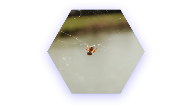 Close-up of a small spider hanging on its delicate web with a blurred natural background.