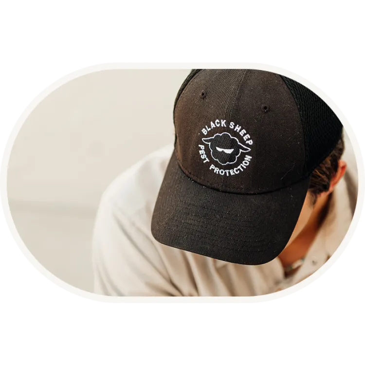 Person wearing a black cap with Black Sheep Pest Protection logo embroidered in white