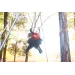 Two aerial performers in red and black costumes e