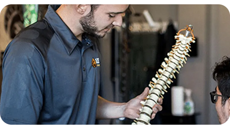 Chiropractor explaining spine model to patient in a clinical setting focusing on spinal health.