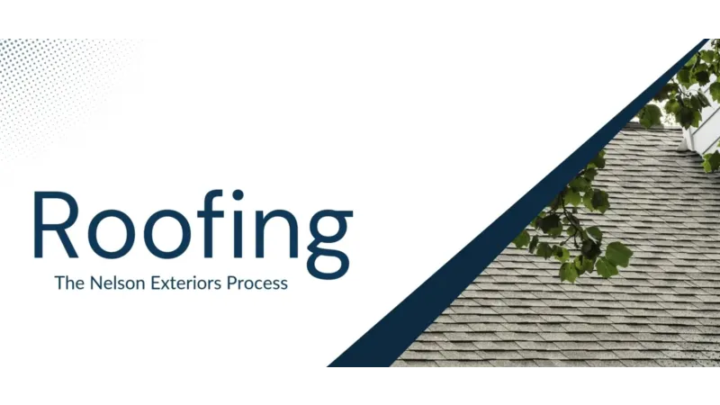 Modern roofing with gray shingles and leafy branches as part of Nelson Exteriors branding visual.