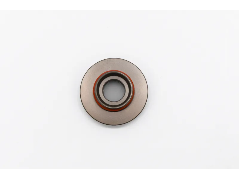 Metal ball bearing with an outer ring and orange seal, isolated on a white background.