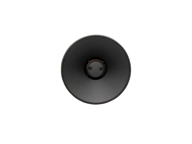 Top view of a black circular speaker cone with a central dust cap and two mounting screws.