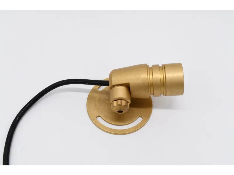 Small brass showerhead or nozzle attached to a round base with a black hose on a white background