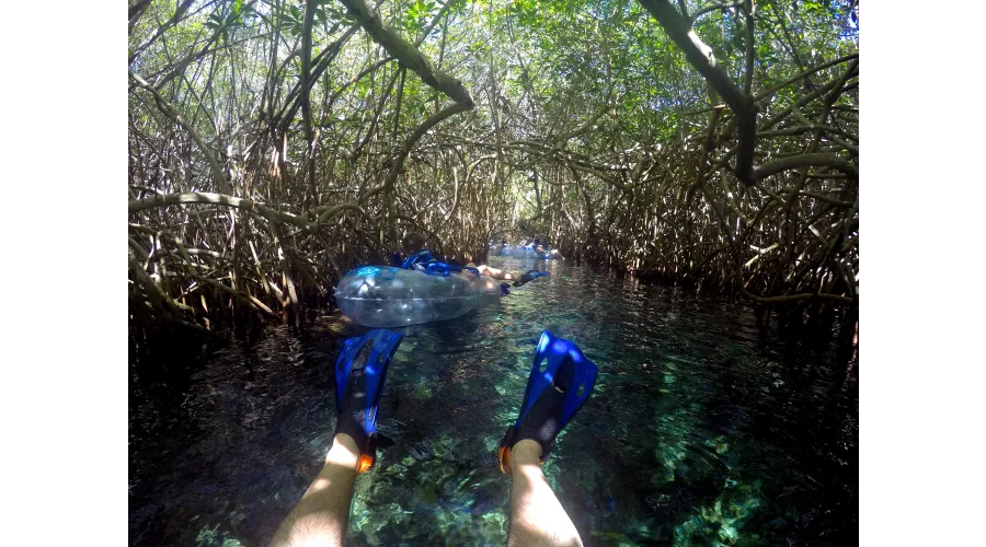 Acting Your Age in Cancun--A Spring Break for Adults