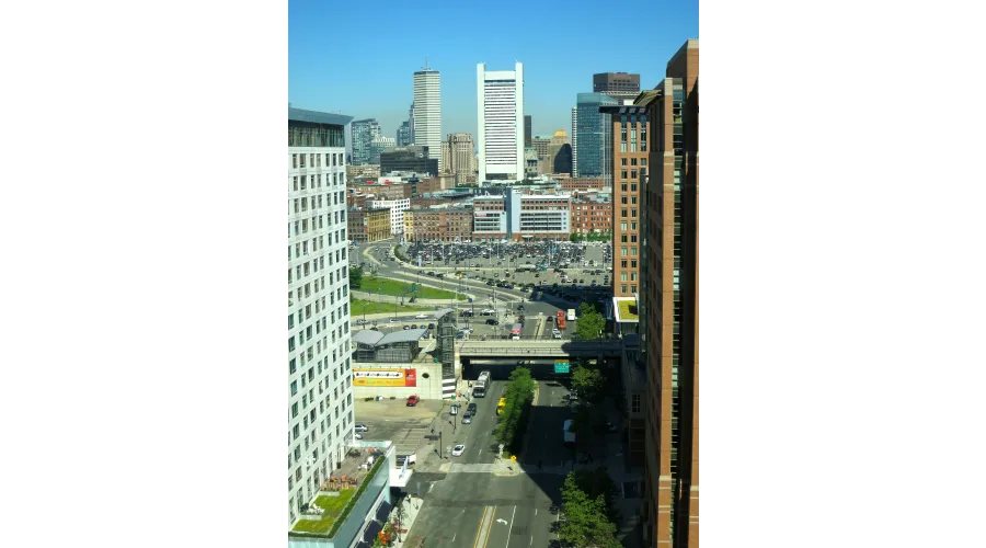Summertime in Boston?Adventures in the Land of the Green Monster