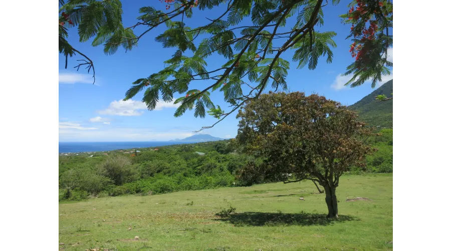 Limin on Nevis