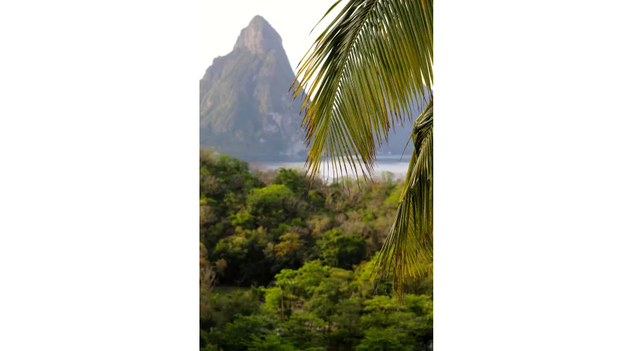 Beach+Mountains+Jungle=Anse Chastanet