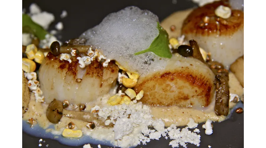 Mouthwatering Miami