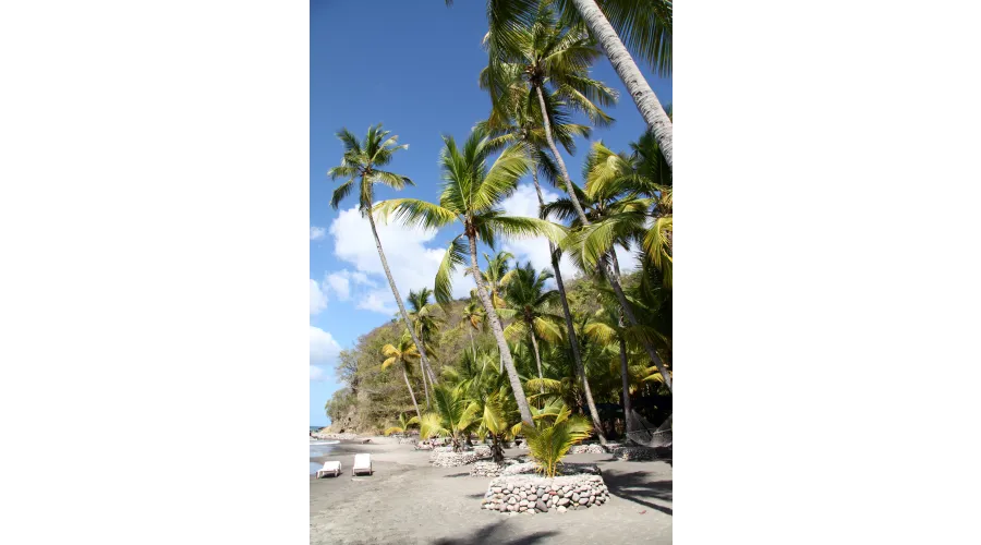 Beach+Mountains+Jungle=Anse Chastanet