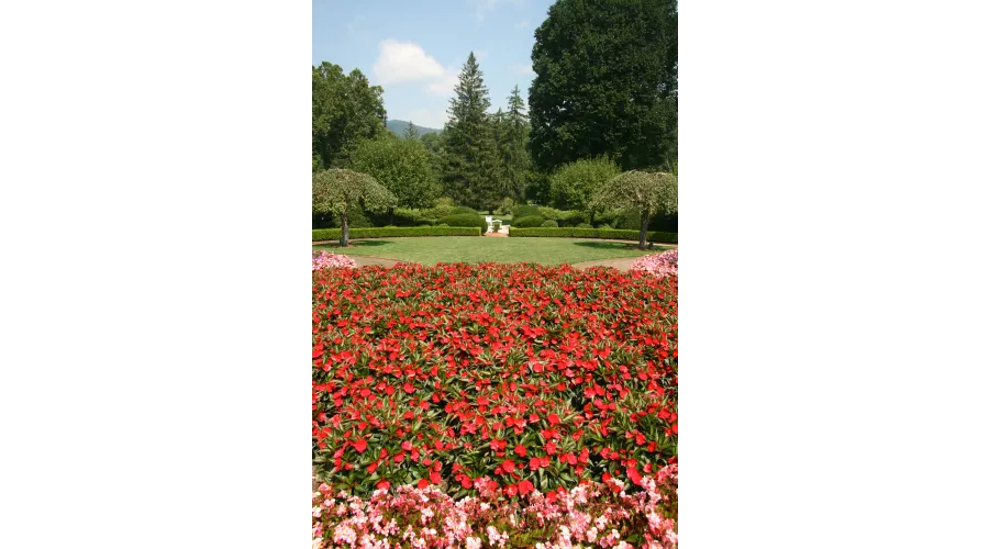 The Greenbrier:  America's Resort 