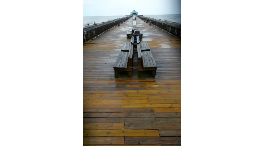Charleston:  Above and Below the Surface