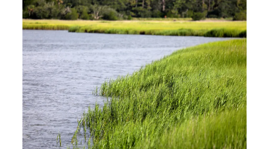 The Sanctuary at Kiawah Island