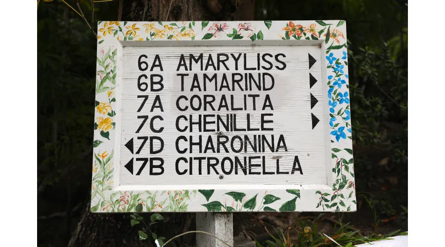 Beach+Mountains+Jungle=Anse Chastanet