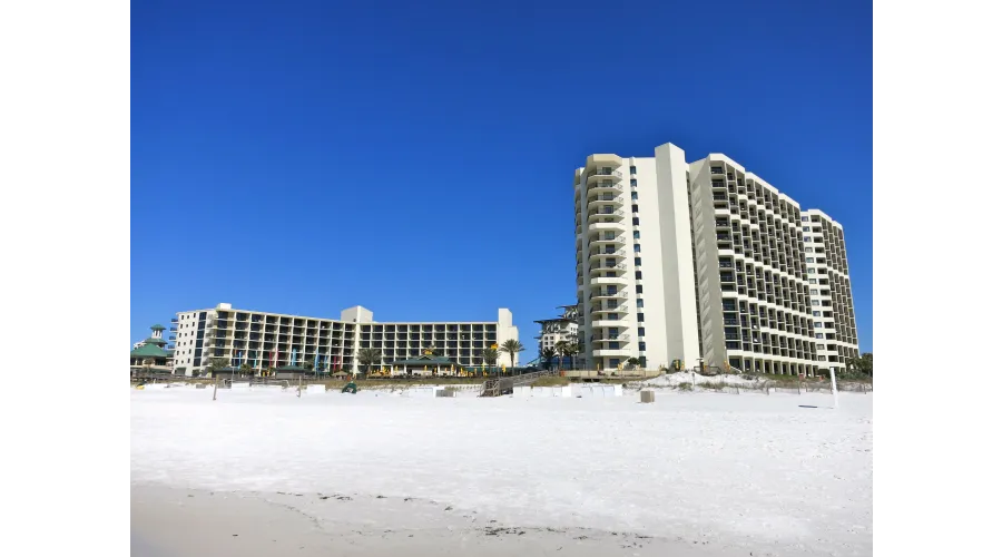 It's Your Destin-y