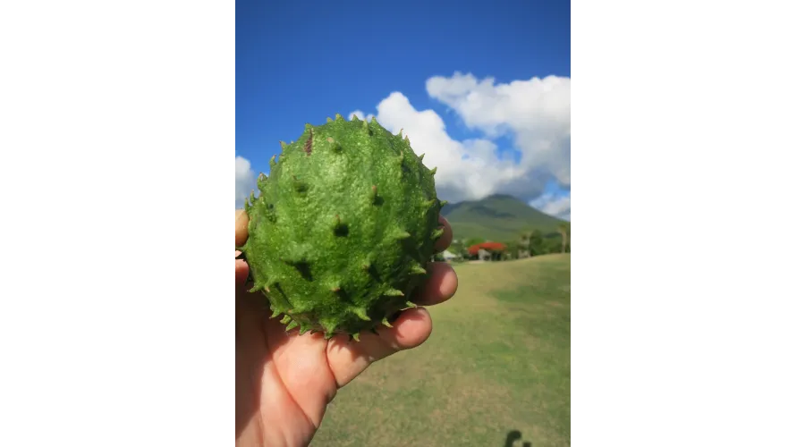 Limin on Nevis