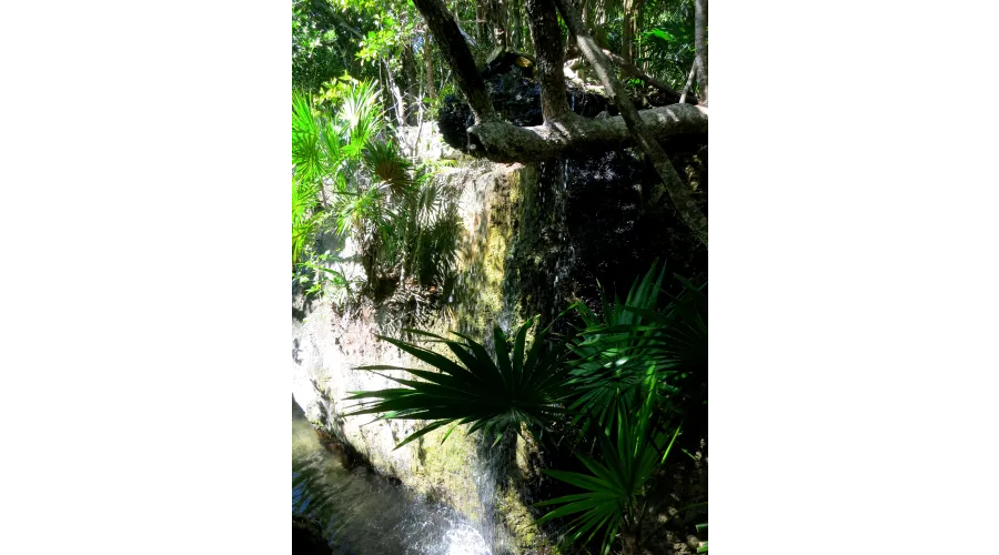 Acting Your Age in Cancun--A Spring Break for Adults