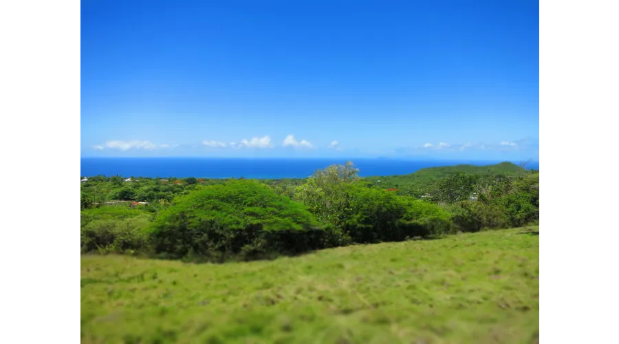 Limin on Nevis