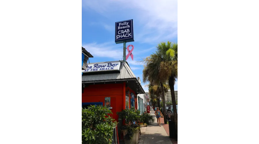 Charleston:  Above and Below the Surface