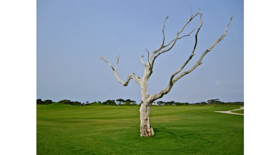 The Sanctuary at Kiawah Island
