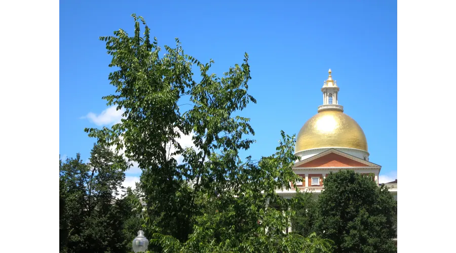 Summertime in Boston?Adventures in the Land of the Green Monster