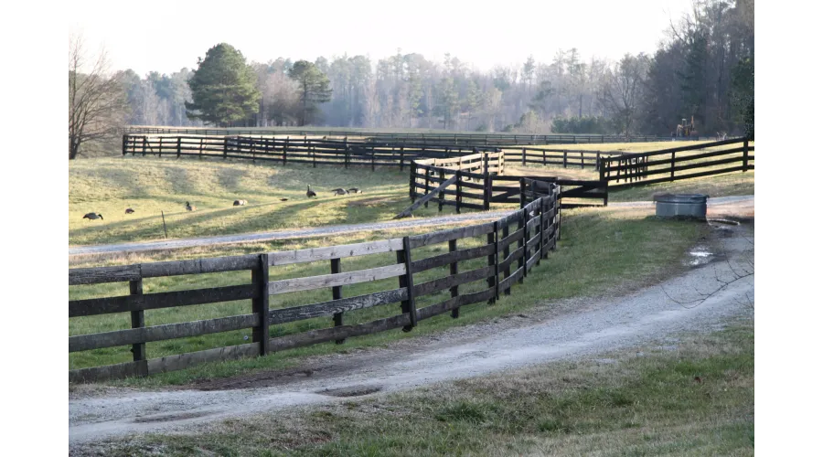 Serenbe:  It's Not Just for Weekends Anymore
