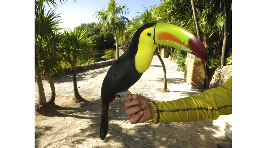 Acting Your Age in Cancun--A Spring Break for Adults