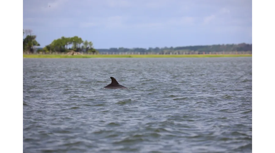 The Sanctuary at Kiawah Island