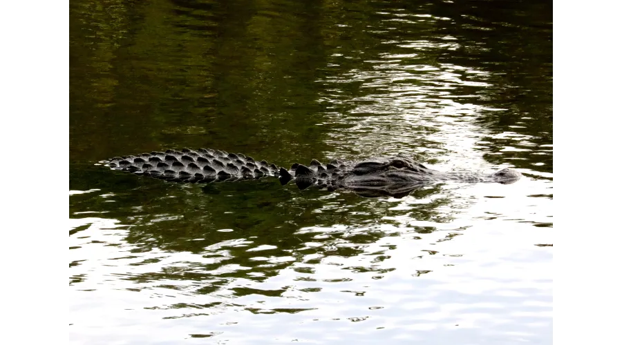 The Sanctuary at Kiawah Island