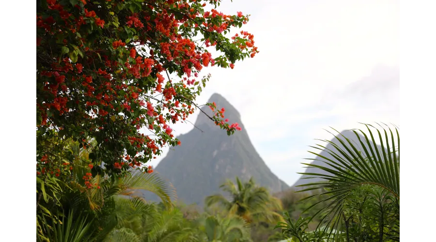 Beach+Mountains+Jungle=Anse Chastanet