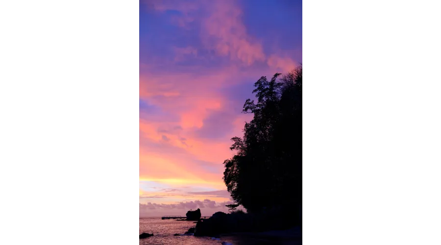 Beach+Mountains+Jungle=Anse Chastanet