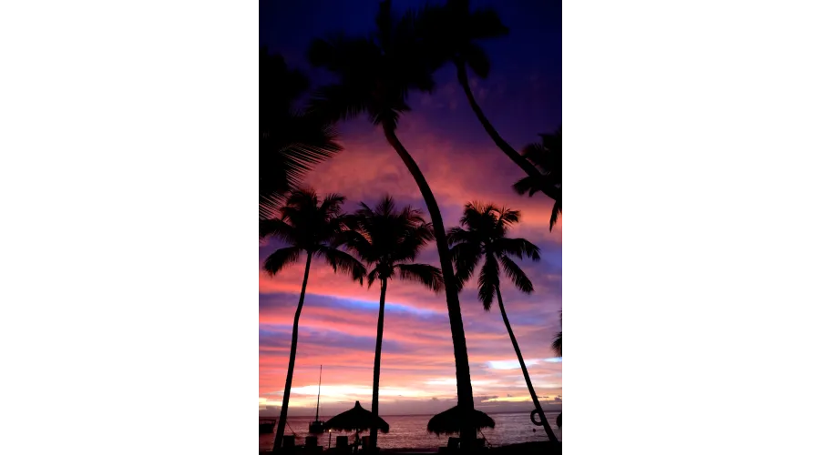 Beach+Mountains+Jungle=Anse Chastanet