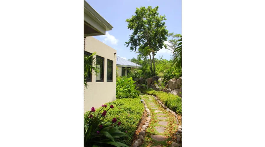 Limin on Nevis