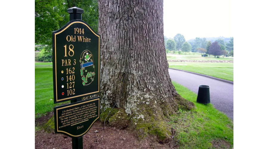 The Greenbrier:  America's Resort 