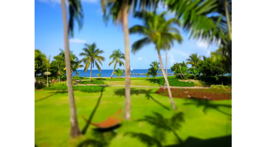 Limin on Nevis