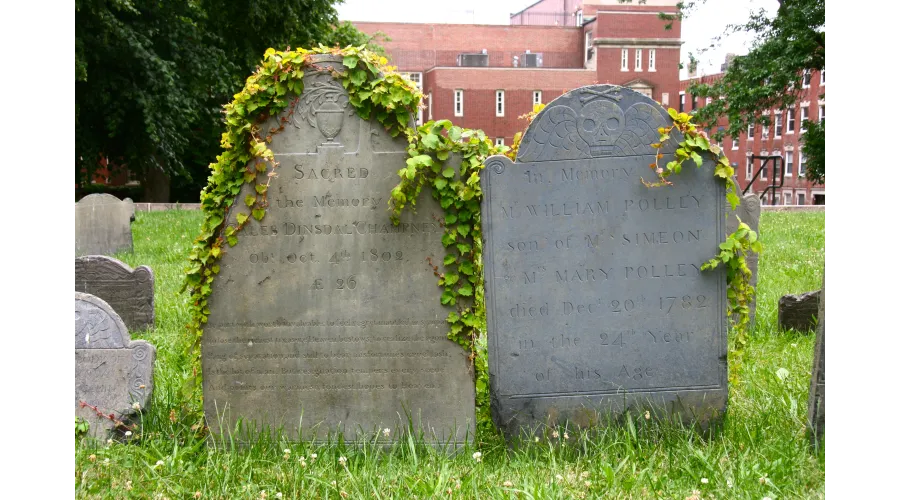 Summertime in Boston?Adventures in the Land of the Green Monster