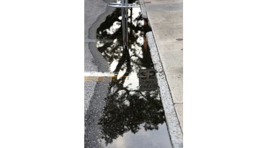 Charleston:  Above and Below the Surface