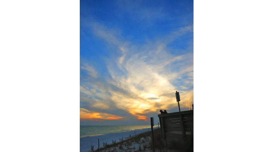 It's Your Destin-y