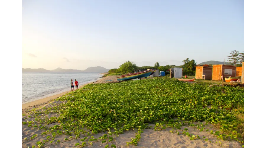 Limin on Nevis