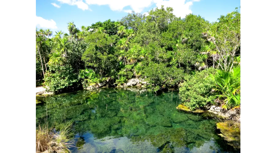 Acting Your Age in Cancun--A Spring Break for Adults