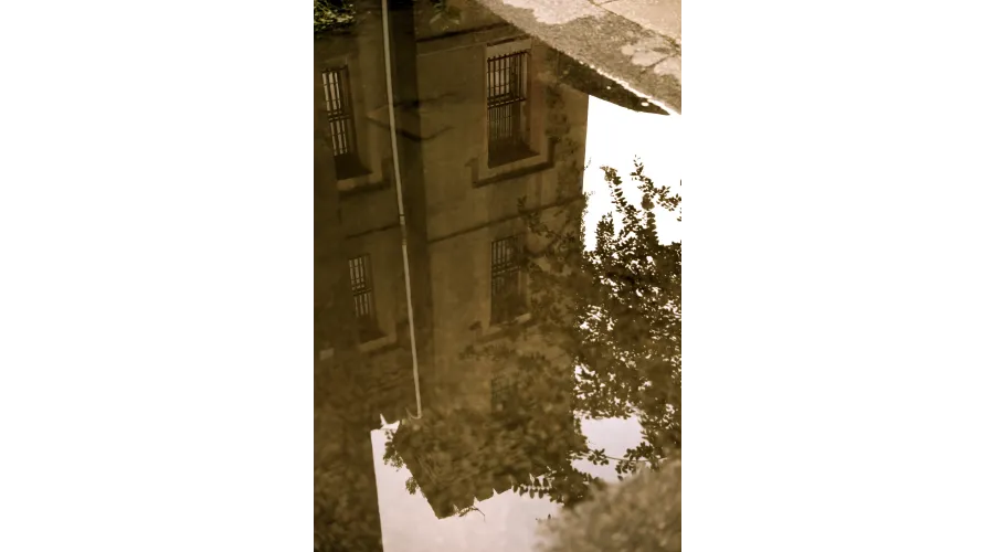 Charleston:  Above and Below the Surface