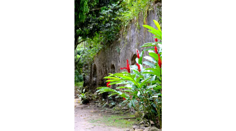 Beach+Mountains+Jungle=Anse Chastanet