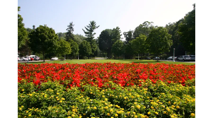 The Greenbrier:  America's Resort 