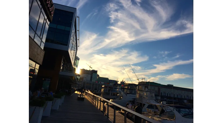 Summertime in Boston?Adventures in the Land of the Green Monster