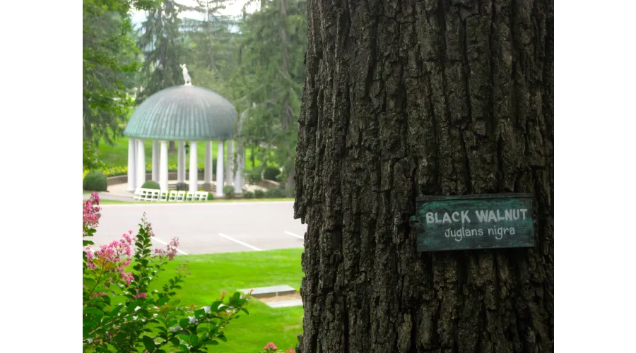 The Greenbrier:  America's Resort 