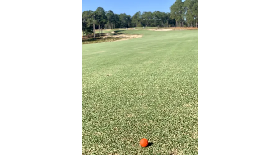 Pinehurst=Golf Nirvana