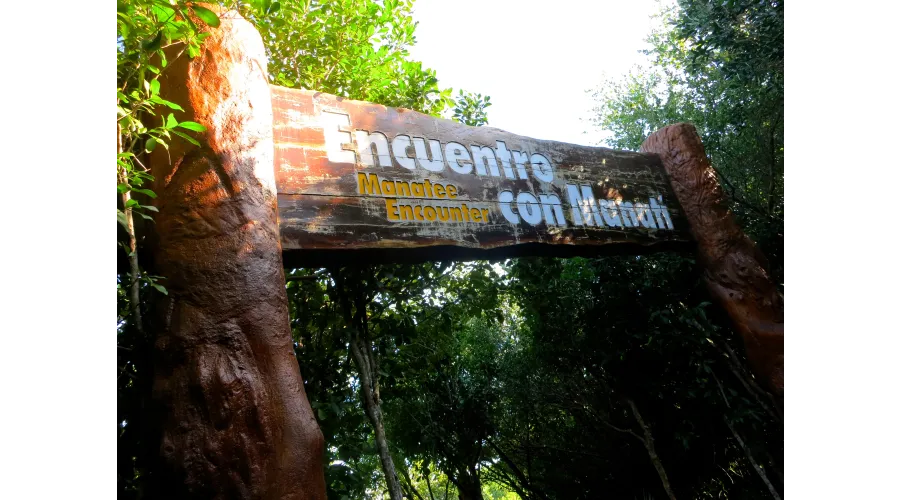 Acting Your Age in Cancun--A Spring Break for Adults