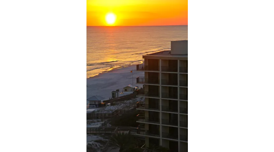 It's Your Destin-y