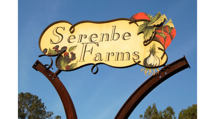 Serenbe:  It's Not Just for Weekends Anymore
